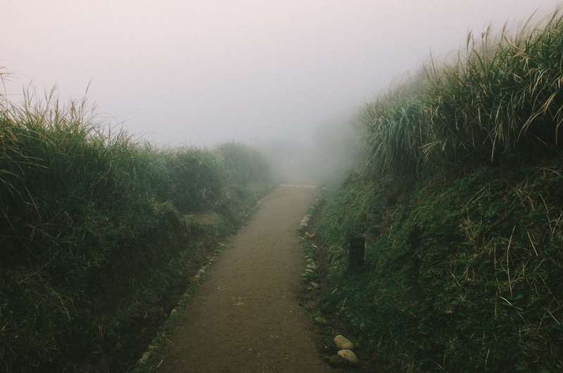 day, 4K, grass, footpath, grasses, daytime, green color, slate, no people, mist, fir, outdoors, tree, trail, building, landscape, mountain, plant, ground