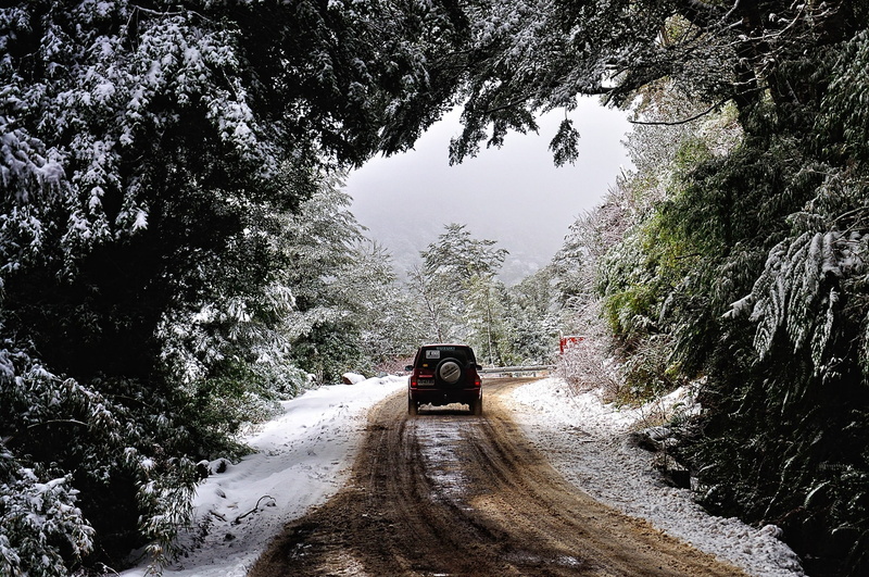 national park, forest, Chile, winter, dirt road, snow, nature, photography, 4x4, trees, cold, landscape, 1080P