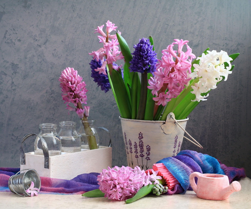 nature, beauty In Nature, freshness, decoration, bottle, cut Flowers, bunch, blossom, vulnerability, assorted, love, springtime, backgrounds, bunch of flowers