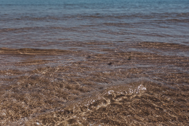 sand, sandy beach, beauty in nature, backgrounds, sandy, animal wildlife, coastline, beach, outdoors, day, wet, 4K, nature, Soft, water, seascape, waterscape