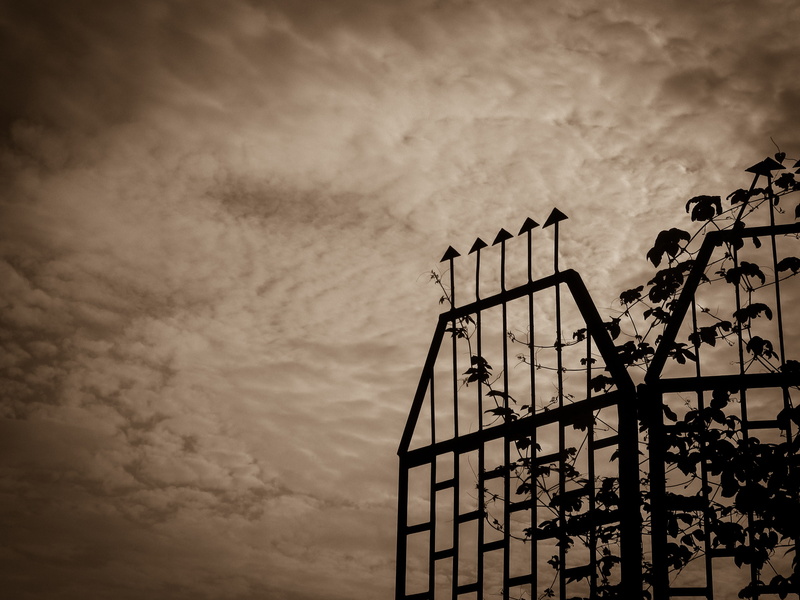 garden, built Structure, cloud, cloud - sky, sunset, texture, industry, outdoor, entrance, Nature, old, day, weather, Sepia, Vintage, evening, brown, construction equipment