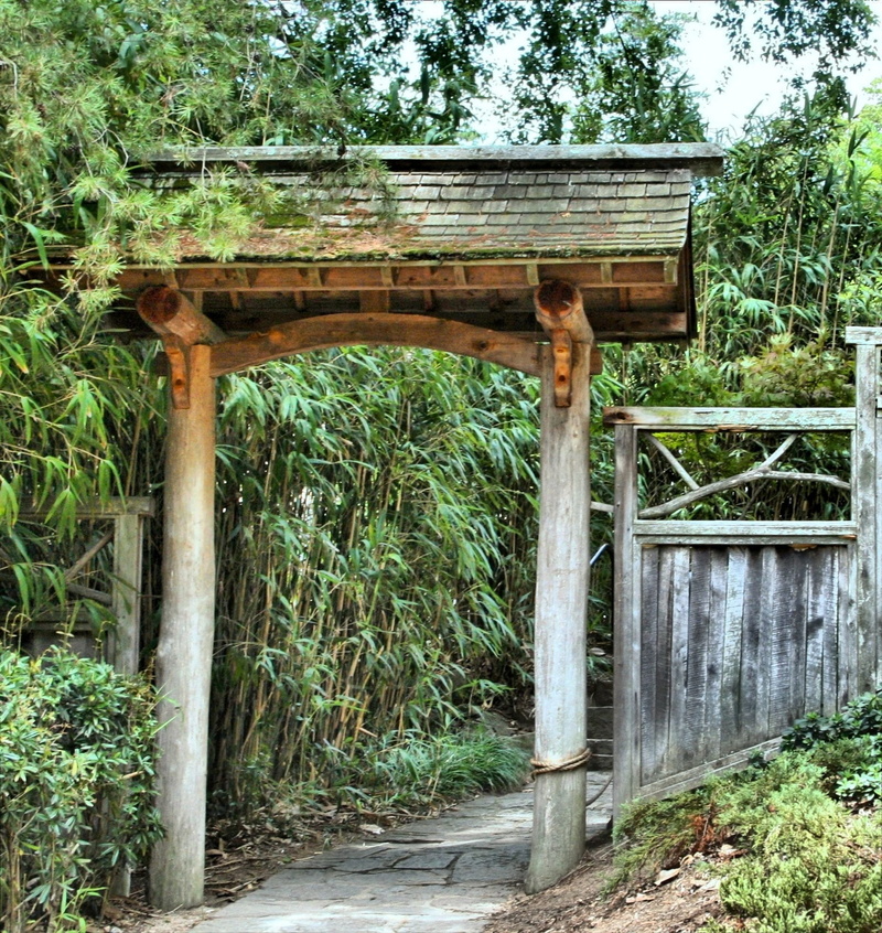 forest, Gateway, park, green color, plant, pagoda, gardening, serene, Garden, outdoor, calm, environment, wood - material, connection, building exterior