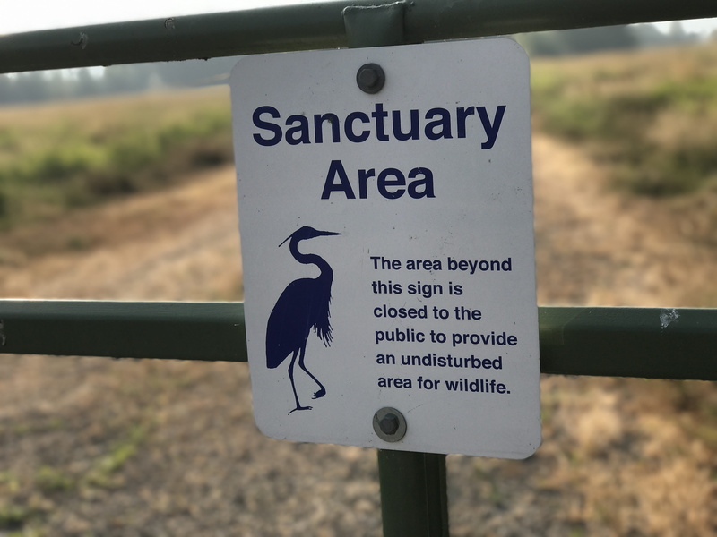 nature, information, species, icon, conservation, non-western script, warning, close-up, focus on foreground, text, wetlands, protective, script, western script