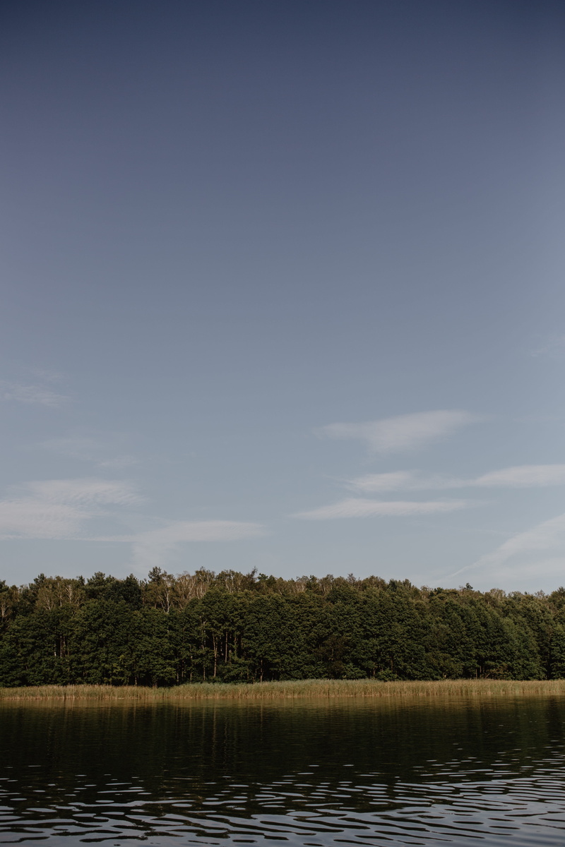 sky, non-urban scene, trees, day, coastline, skrzynki, outdoors, summer, scenics - nature, cloud - sky, beauty in nature, nature, water, reed, waterfront