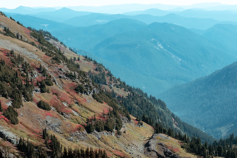 vantage, mount rainier national park, mountain peak, non-urban scene, landscape, beauty in nature, valley, nature, trees, mountains, united states, 5K