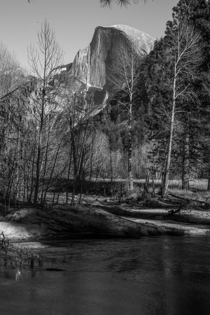 sky, beauty in nature, landscape, plant, nature photography, plamts, tranquil scene, forest, outdoors, photography, yosemite national park road, non-urban scene