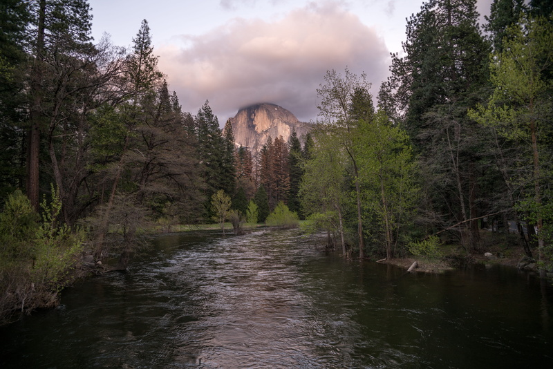 exporing, united states, forest, outdoor life, wilderness, yosemite valley, tranquility, half dome, explorer, bridge - man made structure, plant, beauty