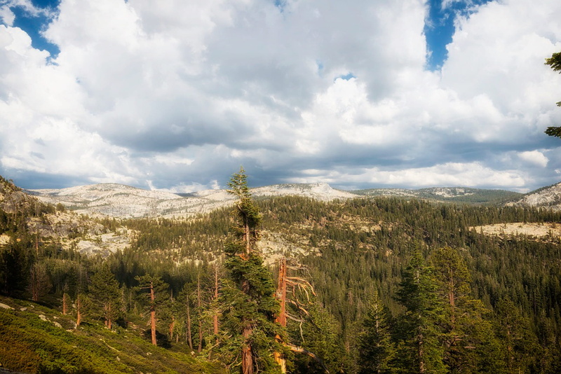vacation, beauty In Nature, tree, national park, landscape, tranquil scene, scenic, scenics - nature, Yosemite, scenics, countryside, landscapes, nature