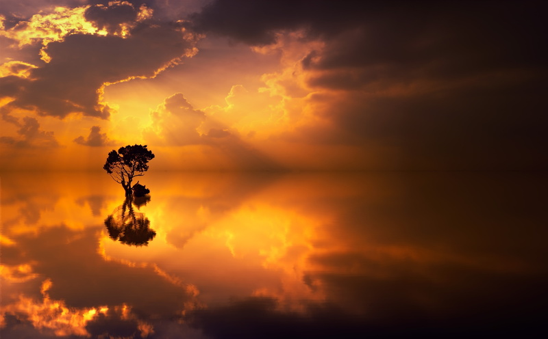 sunset, GodRays, Water, Photography, Tree, CrepuscularRays, 5K, Waterscape, Golden, Endless, Minimal, Picturesque, Mirroring, Sun and Sky, Ocean, Reflection