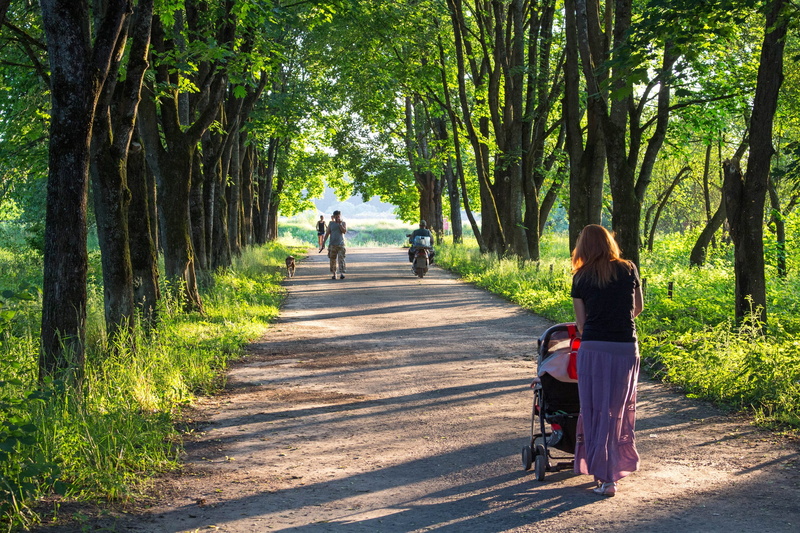 women, people, few people, tall, adult, stroll, real people, holding, footpath, 2K, walking, road, basswood, track, alley, diminishing perspective, trees