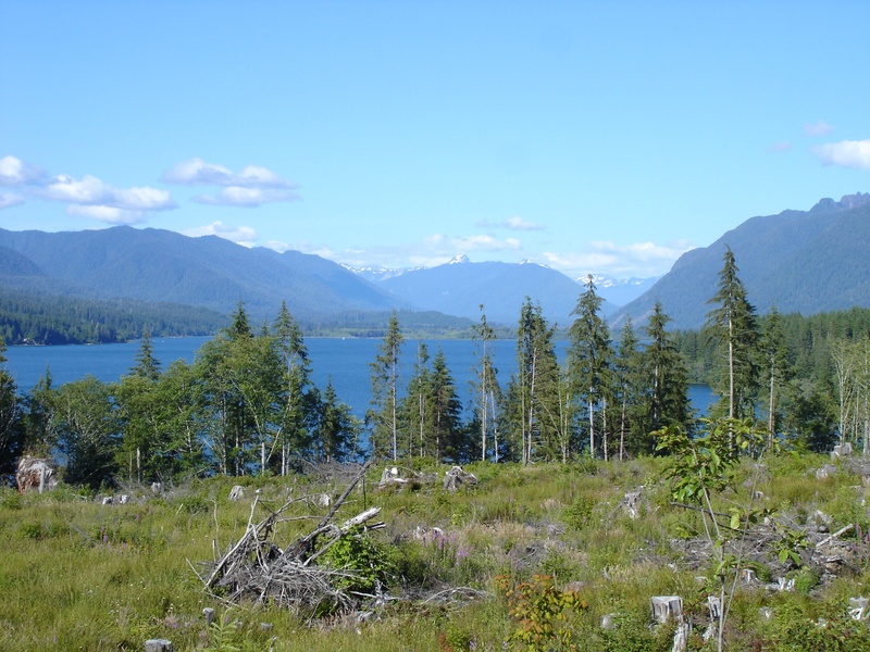 olympic national park, no people, plant, outdoors, woods, beauty in nature, lake, forest, mountain Range, lakes, land, non-urban scene, cloud - sky, nature
