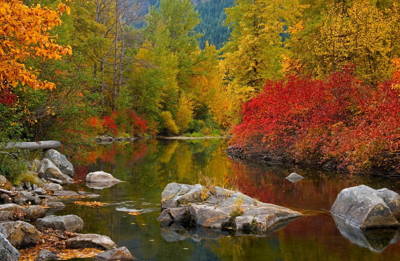 washington, tranquil scene, nason, Autumn, growth, orange color, United States, pass, beauty in nature, stevens, stevens pass, Washington, washington, nature
