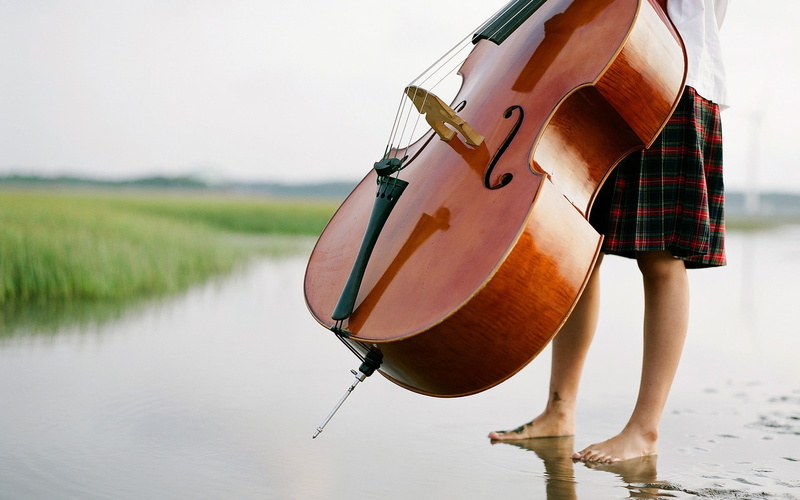 musical Instrument, people, string Instrument, land, beach, hobbies, music, violin, harmony, standing, 1080P, day, females, lake, classical Concert, orchestra