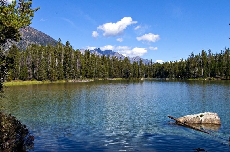 non-urban scene, grand tetons string lake, tranquility, wyoming, tree, outdoors, water, tranquil scene, cloud - sky, pine tree, sky, forest, beauty in nature