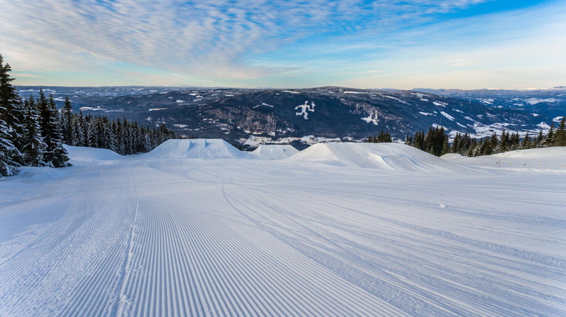 park, ski resort, pine tree, idyllic, white color, scenery, sky, cloud - sky, no people, zing, tree, adventure, ski, tranquility, coniferous tree, daylight