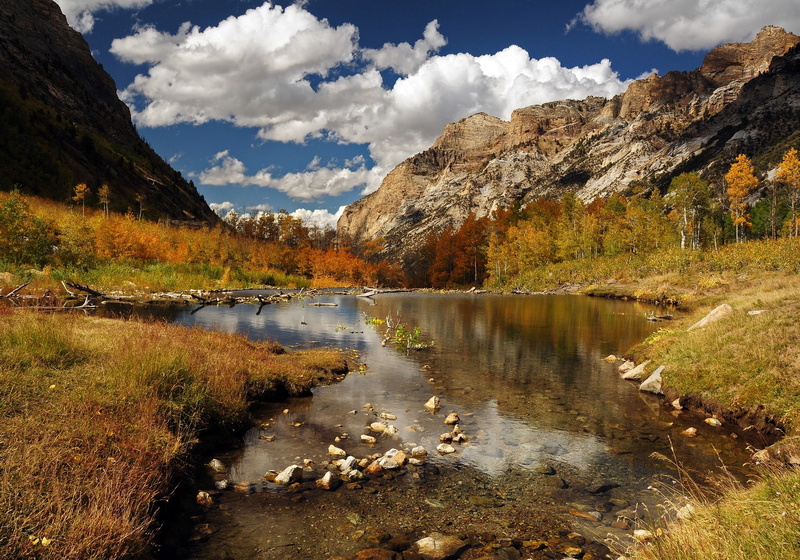 reflection, scenics, trees, tranquil scene, clouds, rock, cloud - sky, grass, travel destinations, change, river, near, mountain, tranquility, water, humboldt-toiyabe national forest