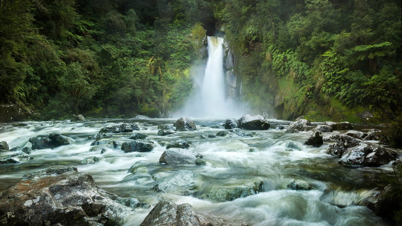 1080P, waterfall, rock, forest, stream, stones, Fiordland, trees, New Zealand, Giants Gate Falls