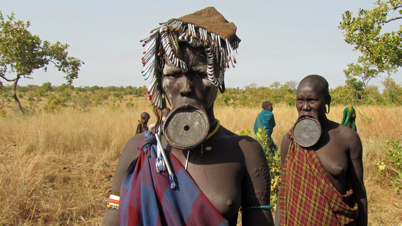 lip plate, group of people, 4K, looking at camera, plate, tradition, mammal, land, men, rural scene, tree, women, plate lip women, indigenous culture