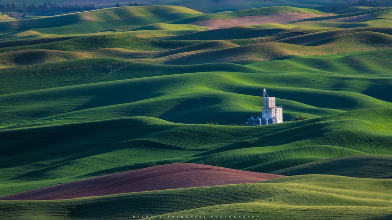 farm, hill, Tour, Whitman County, Sidelight, Polarizer, PNW, Growers, landscape, building, nature, 720P, Landscapes, rural Scene, Green  Hills, agriculture