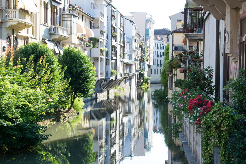 travel, river, built structure, plant, growth, trip, reflection, flowering plant, no people, building exterior, italy, ride, padova, architecture, street