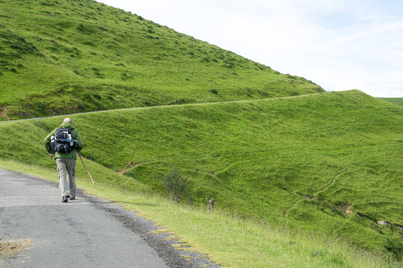 ride, scenics - nature, leisure activity, forest, road, backpacking, green color, quiet, vegetation, backpacker, places, transportation, street, tourism