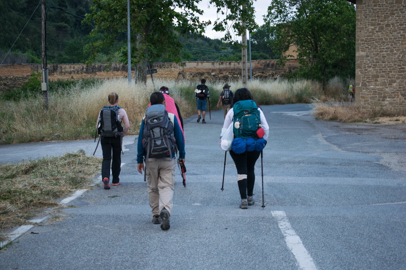 plant, forest, mato, road, quiet, the way forward, vista, santiago path, holidays, of course, men, green, wonderful, wild, ride, outdoors, day, backpacking
