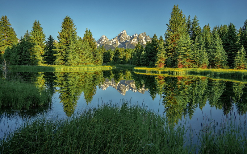 mountains, reflection, sky, reflection lake, waterfront, greens, non-urban scene, lake, National Park Grand Teton, tranquility, tree, water, scenics - nature