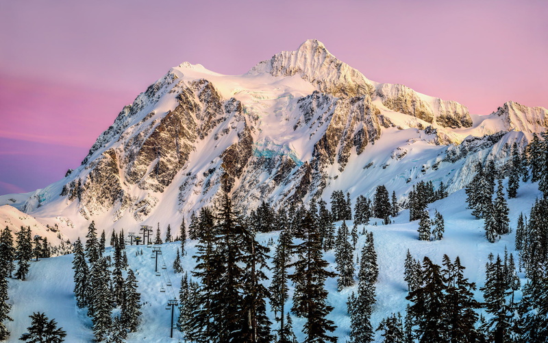 coniferous tree, plant, sky, tree, mountain range, no people, snow, capped, forest, environment, North America, nature, the sky, snowcapped mountain, landscape