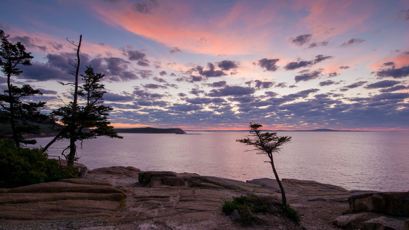 nature, rock, trees, dawn, tranquility, beauty in nature, bay, land, bright, panorama, solid, sunset, maine, seascape, acadia national park, horizon, usa