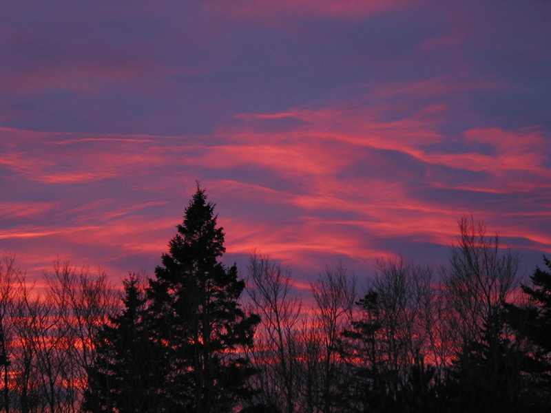 romantic sky, outside, woods, sunset, dusk, tranquility, non-urban scene, beauty In Nature, sky, no people, sunrise - Dawn, morning, landscape, cloud - sky