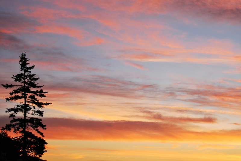 nature, romantic sky, pastel, no people, outdoors, tree, dramatic sky, silhouette, idyllic, united states, acadia national park, landscape, orange color
