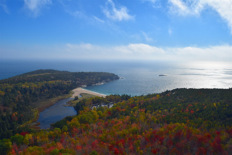 maine, day, forest, land, color, leaves, flower, colorful, fall, bright, outdoor, acadia, orange, october, yellow, wild, park, seasonal, mountain, blue