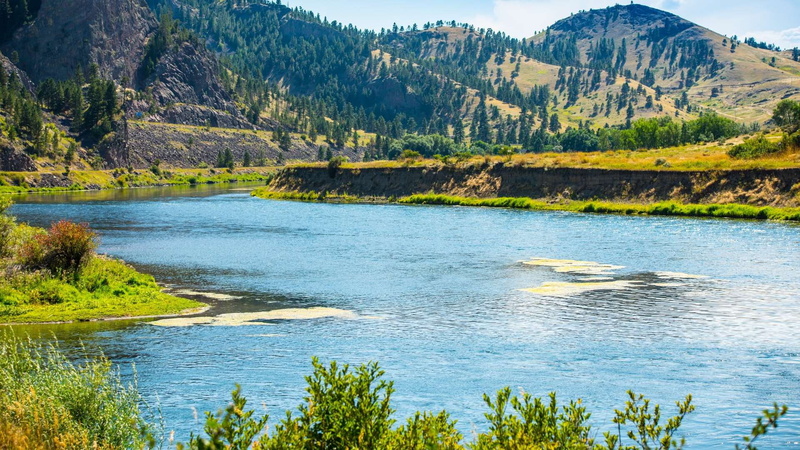nature, environment, plant, tree, coniferous tree, beauty in nature, mountain, outdoors, yellowstone river in montana beauty, lake, day, tranquility, non-urban scene