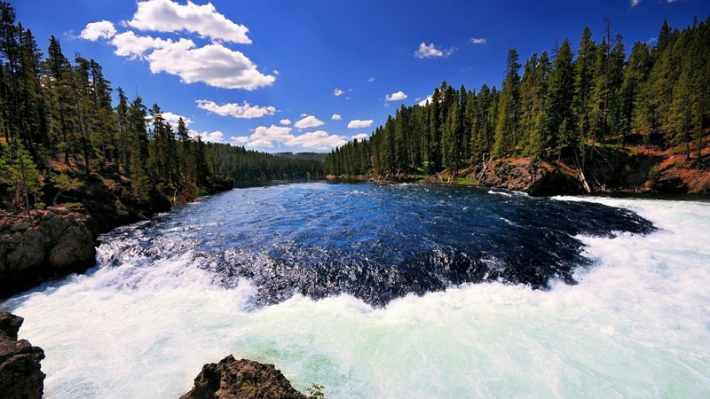 blue sky, tree, outdoors, flowing water, body of water, tranquility, non-urban scene, cloud - sky, sky, land, 1080P, flowing, nature, motion, idyllic