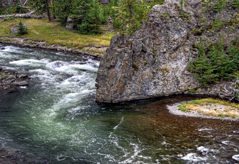 park, yellowstone, 5K, tree, landscape, usa, yellowstone national park, growth, spinning, scenic, nature, wilderness, stream - flowing water, beauty in nature