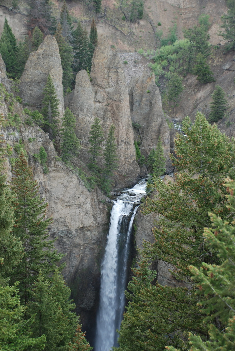 day, rock, fir, land, grey, creek, tree, beauty in nature, waterfalls, no people, environment, formation, flowing water, flowing, spruce, larch, scenics - nature