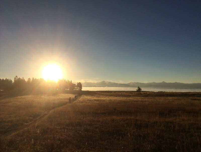 human, land, yellowstone national park, 2K, 1 grand loop rd, landscape, leisure activity, sunbeam, nature, plant, bright, yellowstone np, environment