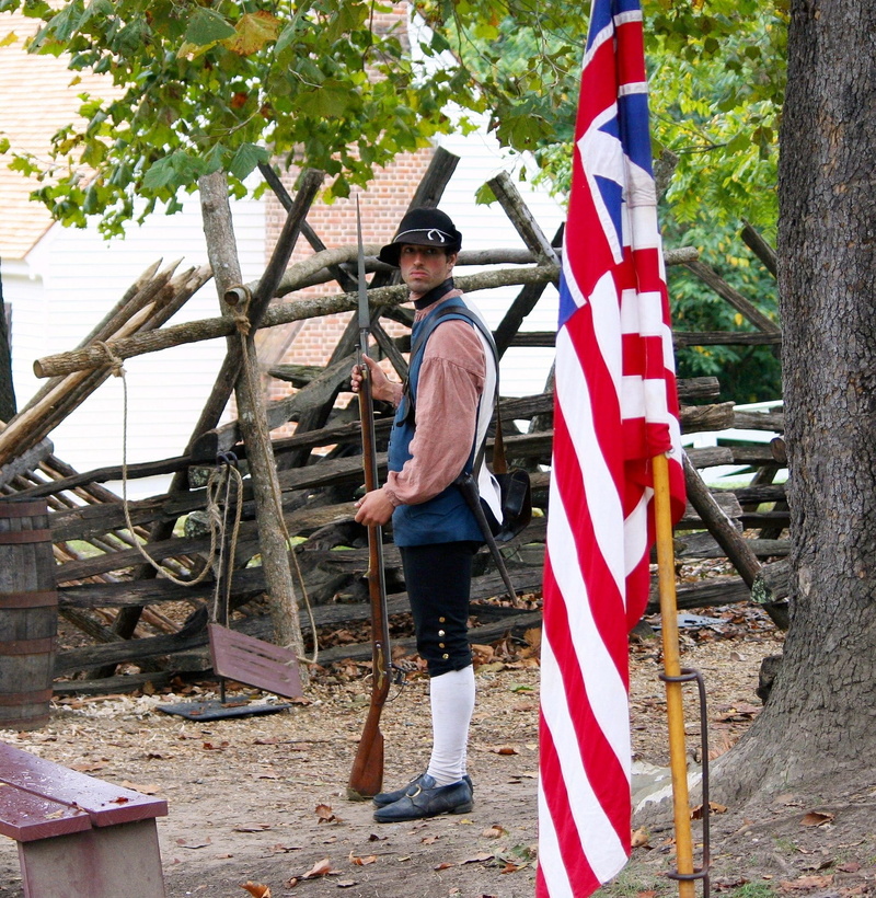 mid adult, lifestyles, grand, bayonette, patriotism, National Flag, militia, first, men, Grand Union Flag, one Person, plant, national, one man only, tree