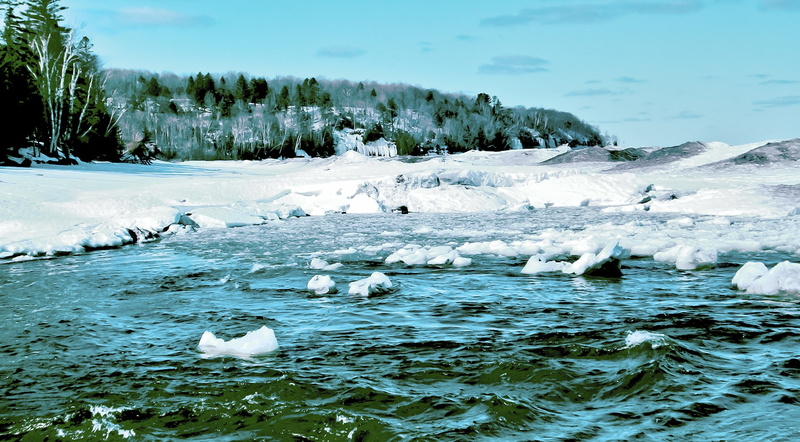 animal themes, scenics - nature, salmon-trout river, ocean, group of animals, waterfront, herman, outdoors, late winter, day, water, ogdo, green, bird