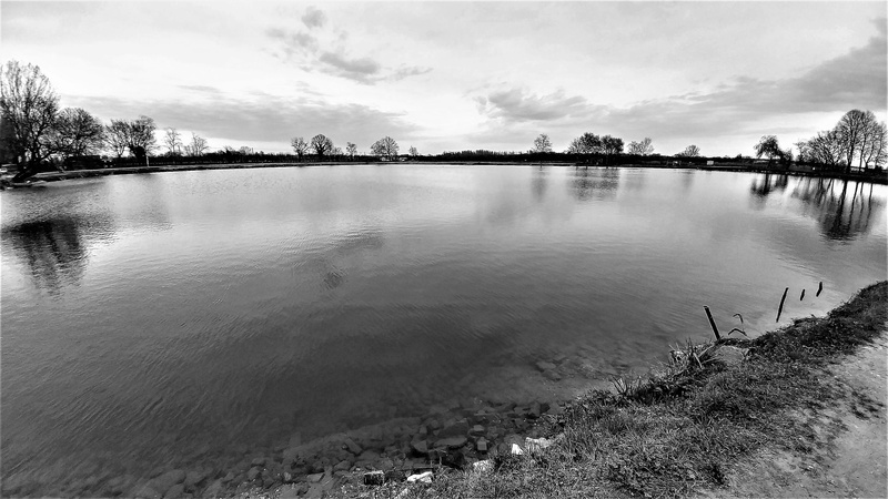 tranquility, connection, lake, fishing, scenics - nature, non-urban scene, pond, beauty in nature, no people, tree, idyllic, reflection, nature, sweet water