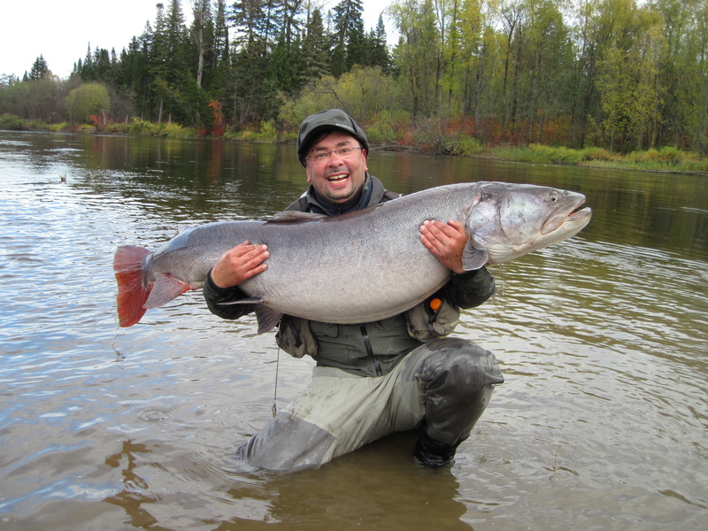fish, fly-fishing, men, holding, day, mature men, gray, water, river, trout, outdoors, real people, vertebrate, carrying, 4K, freshness, freshwater Fishing