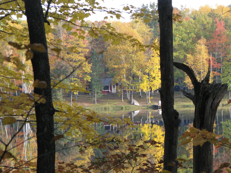 nature, growth, autumn collection, tranquility, branch, tree, plant, tree trunk, trout lake, land, tranquil scene, day, lake, beauty in nature, cabin, autumn