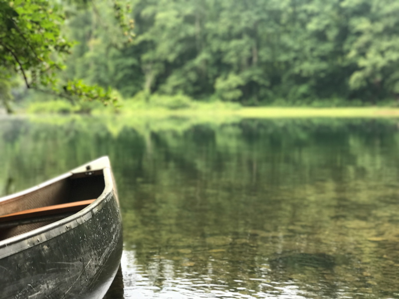 focus on foreground, waterfront, water, reflection, tranquility, day, beauty in nature, greens, lake, mode of transportation, transportation, wilbur dam
