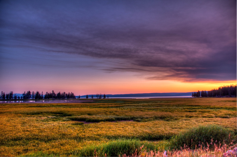 landscape, nature, tree, grass field, yellowstone, green, grass, Lake  brown, rural Scene, Yellowstone Lake, field, sunset, sky, HDR, brown, green grass