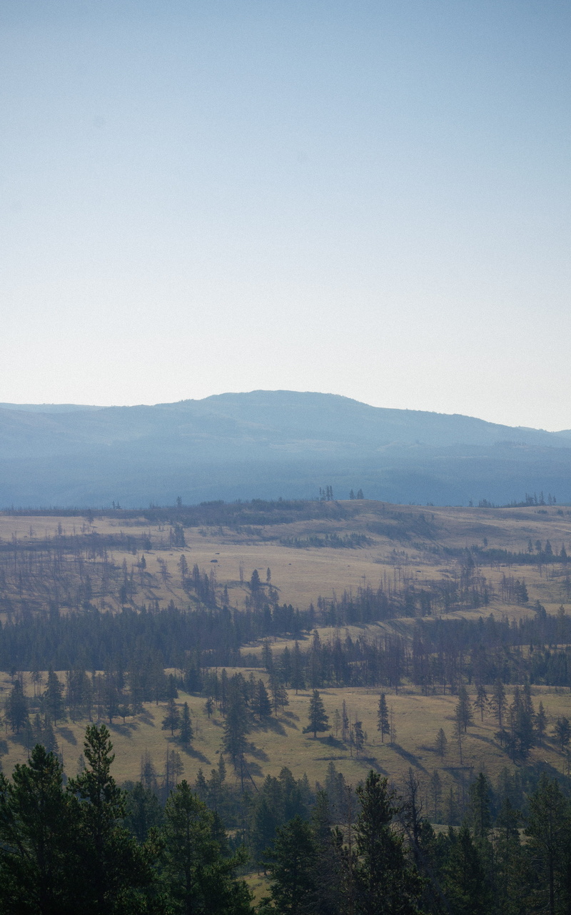 copy space, clear sky, plant, day, tranquil scene, pale, mountain, hills, tree, 5K, remote, powder, no people, park, scenics - nature, land, yellowstone national park