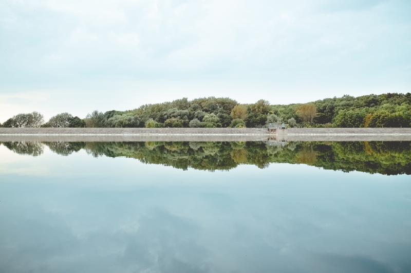blue, reflection, upsidedown, mirror, symmetry, minimal, water, ocean, tranquility, green, cloud - sky, trees, field, scenics - nature, white, daytime