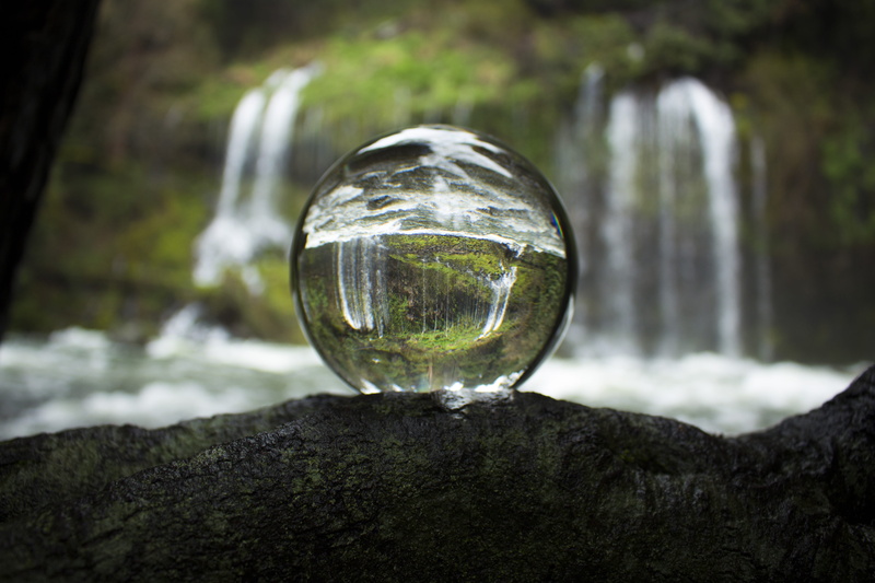 green, land, trees, outdoors, tree, lake, glass, crystal ball, water, day, scenics - nature, moss, crystal, woodland, forest, oregon, sphere, unsplash