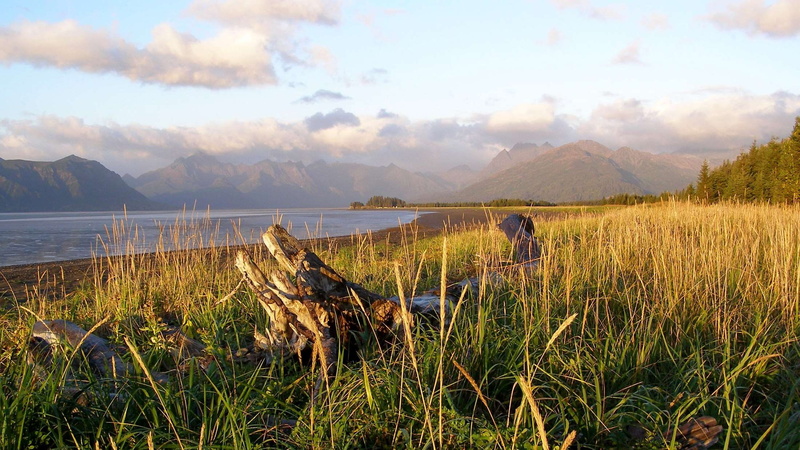 panorama, autumn, mountain, mountains, lake clark national park, cloud - sky, 1080P, chigmit mountains, outdoors, chinitna bay, plant, nature, preserve