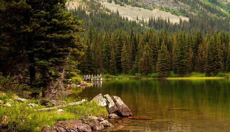reflection, land, coniferous tree, plant, Glacier National Park, rock - object, tranquility, solid, leafed, beauty in nature, pine woodland, lake, stones