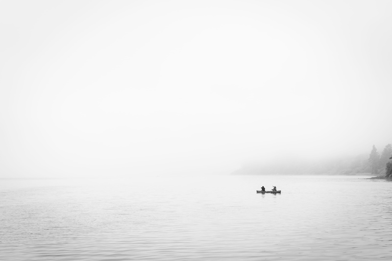 sea, copy space, adventure, mist, scenics - nature, water, crescent city, person, white, day, 5K, tranquil scene, nature, tranquility, two, rowing, waterfront